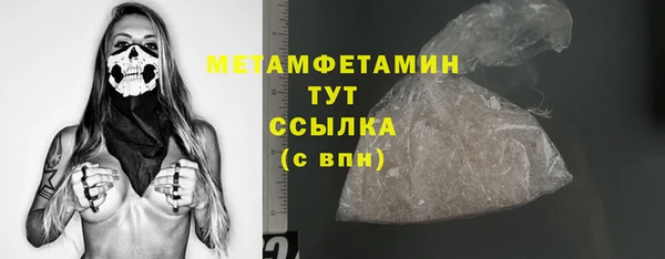PSILOCYBIN Михайлов