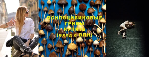 a pvp Михайловка