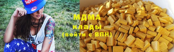 PSILOCYBIN Михайлов