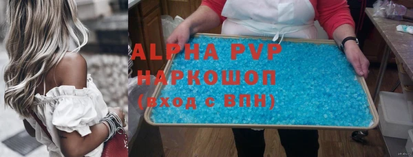 PSILOCYBIN Михайлов