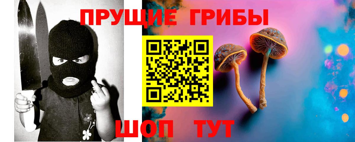 Галлюциногенные грибы Cubensis  Вход с VPN  Псилоцибиновые грибы Psilocybe  Шахты 